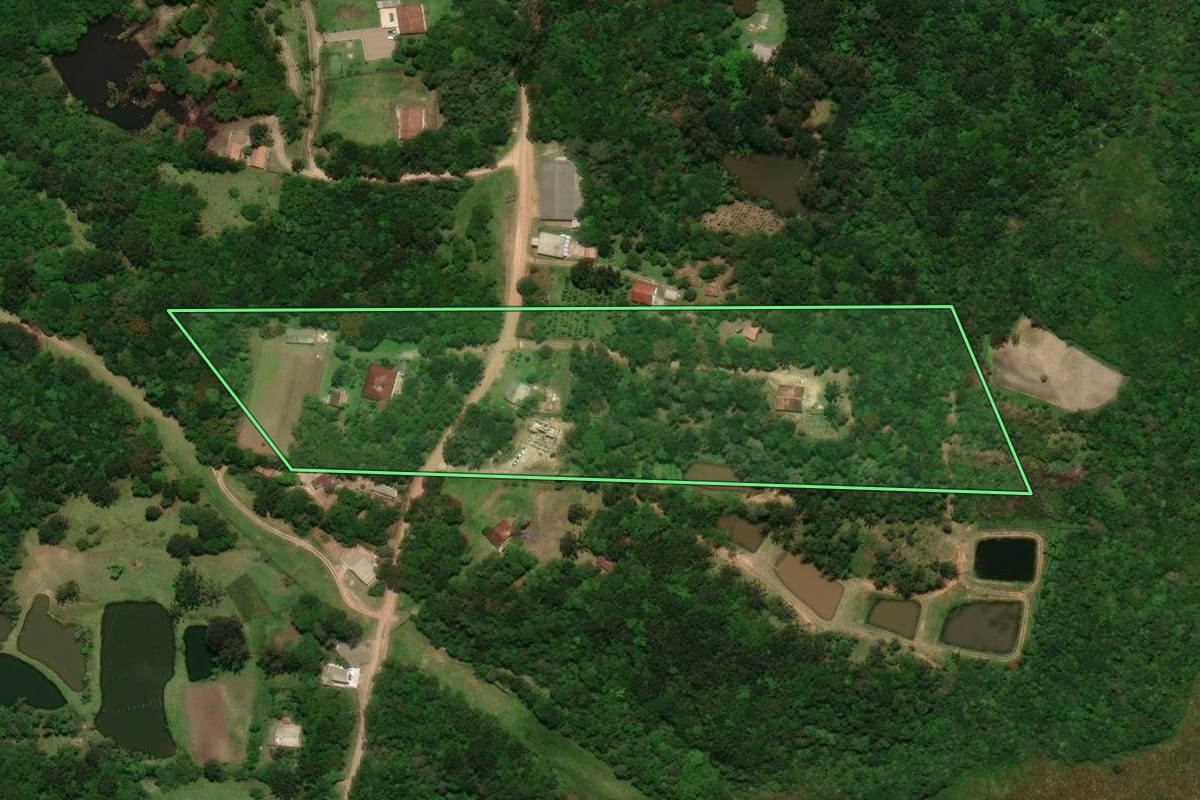 Imagem de satélite do imóvel rural em Tijucas do Sul (PR), com o contorno declarado no CAR desenhado por cima.