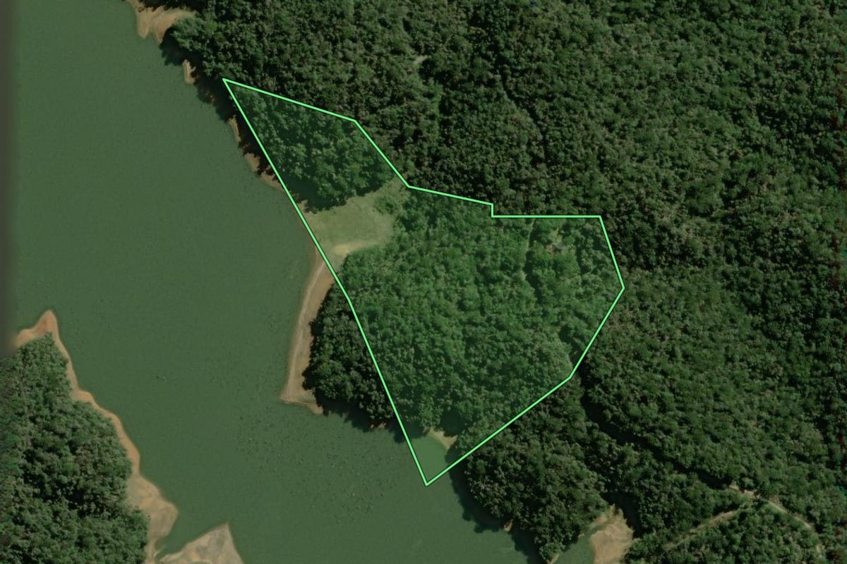 Imagem de satélite do imóvel rural em Tijucas do Sul (PR), com o contorno declarado no CAR desenhado por cima.