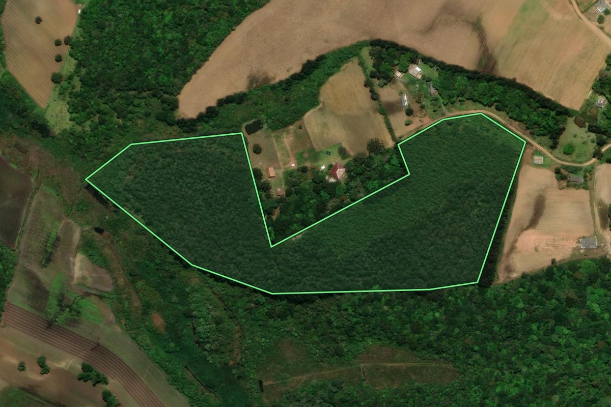 Imagem de satélite do imóvel rural em Tijucas do Sul (PR), com o contorno declarado no CAR desenhado por cima.