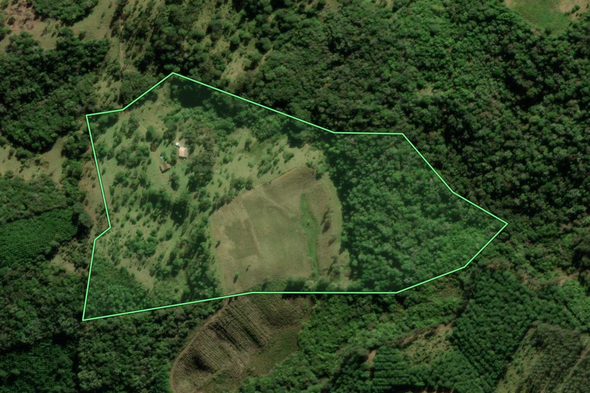 Imagem de satélite do imóvel rural em Tijucas do Sul (PR), com o contorno declarado no CAR desenhado por cima.