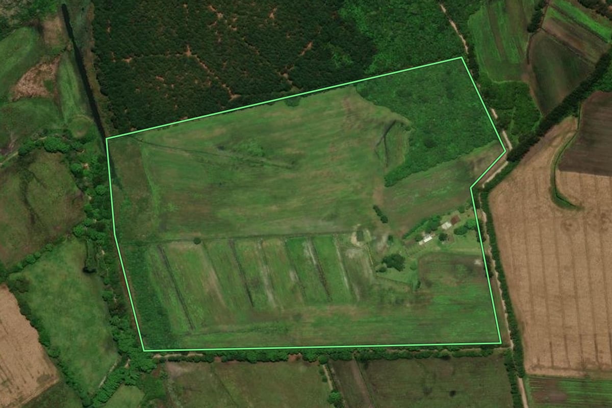 Imagem de satélite do imóvel rural em Tijucas do Sul (PR), com o contorno declarado no CAR desenhado por cima.