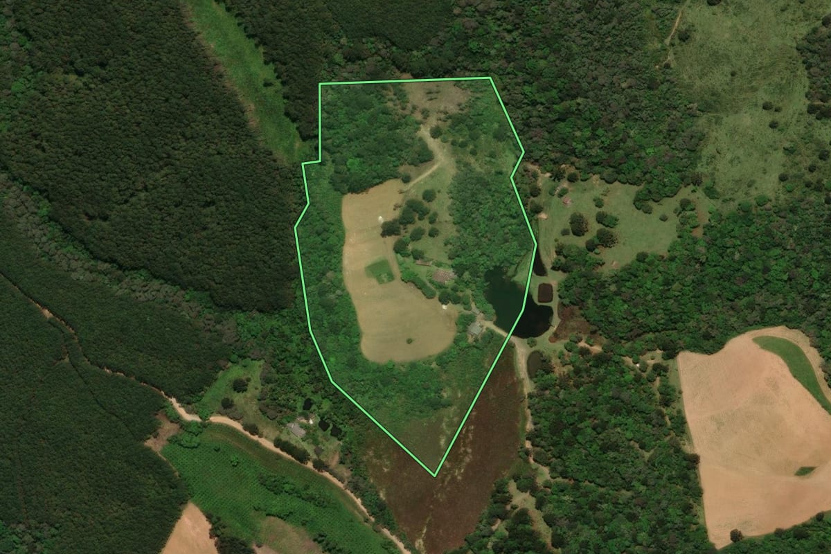 Imagem de satélite do imóvel rural em Tijucas do Sul (PR), com o contorno declarado no CAR desenhado por cima.