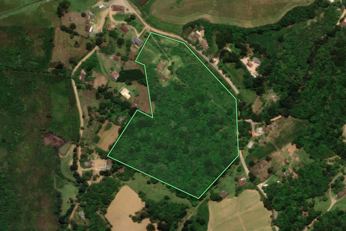 Imagem de satélite do imóvel rural em Tijucas do Sul (PR), com o contorno declarado no CAR desenhado por cima.