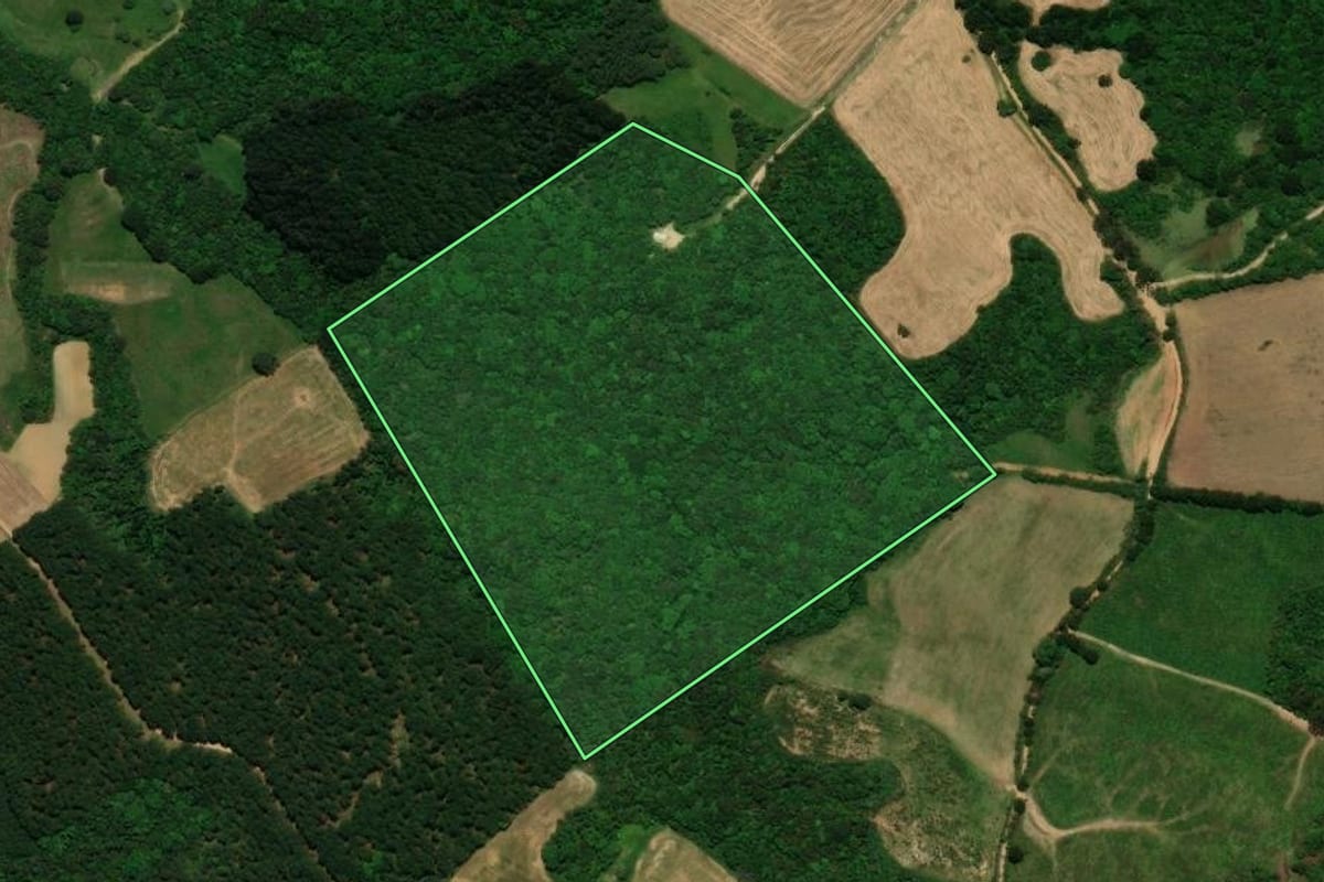 Imagem de satélite do imóvel rural em Tijucas do Sul (PR), com o contorno declarado no CAR desenhado por cima.