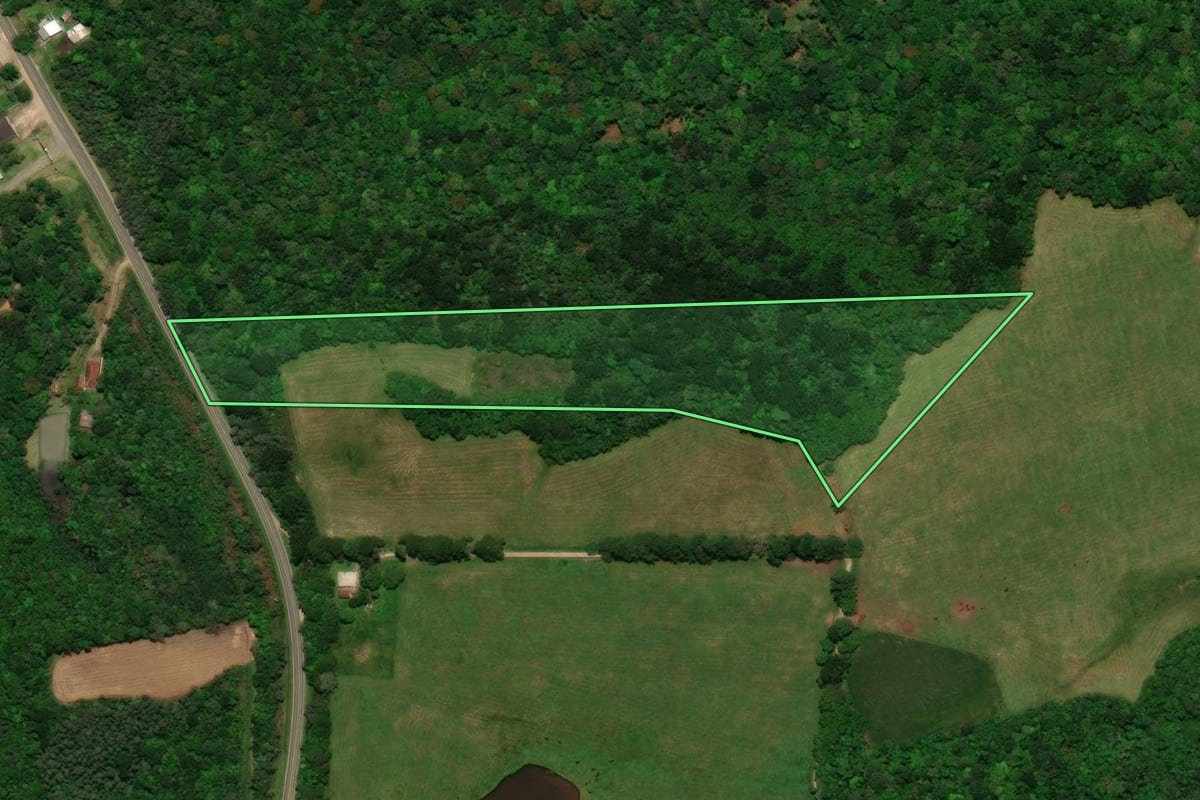 Imagem de satélite do imóvel rural em Tijucas do Sul (PR), com o contorno declarado no CAR desenhado por cima.