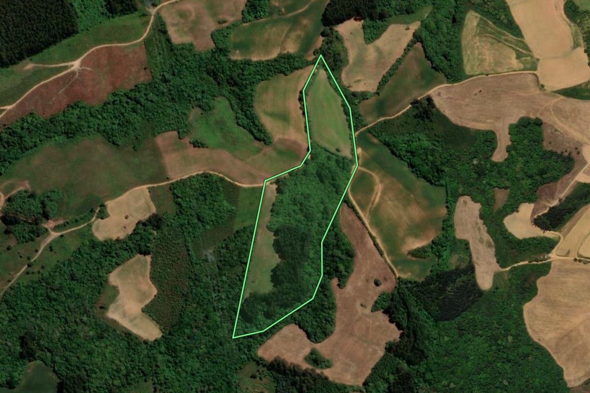 Imagem de satélite do imóvel rural em Tijucas do Sul (PR), com o contorno declarado no CAR desenhado por cima.