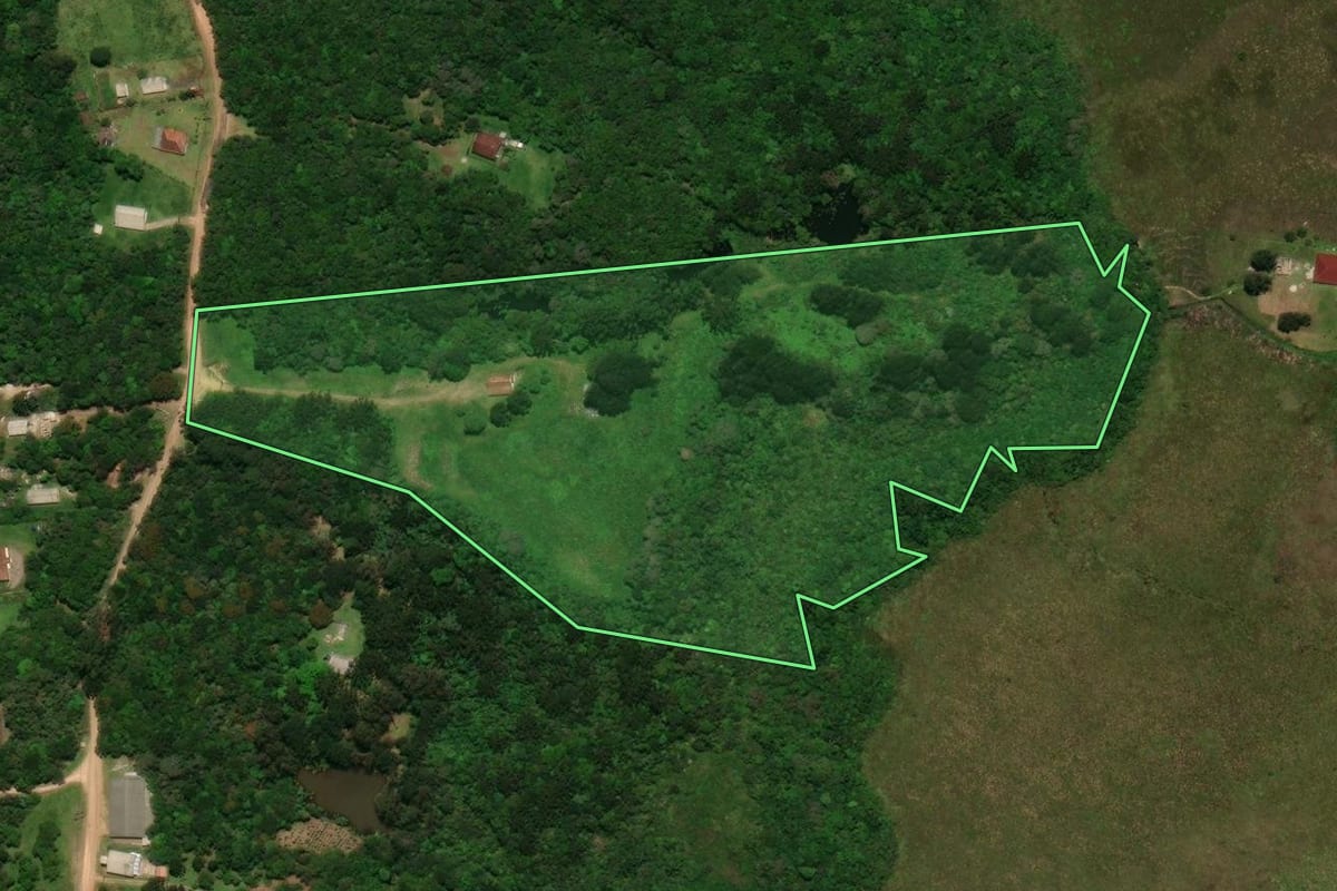 Imagem de satélite do imóvel rural em Tijucas do Sul (PR), com o contorno declarado no CAR desenhado por cima.