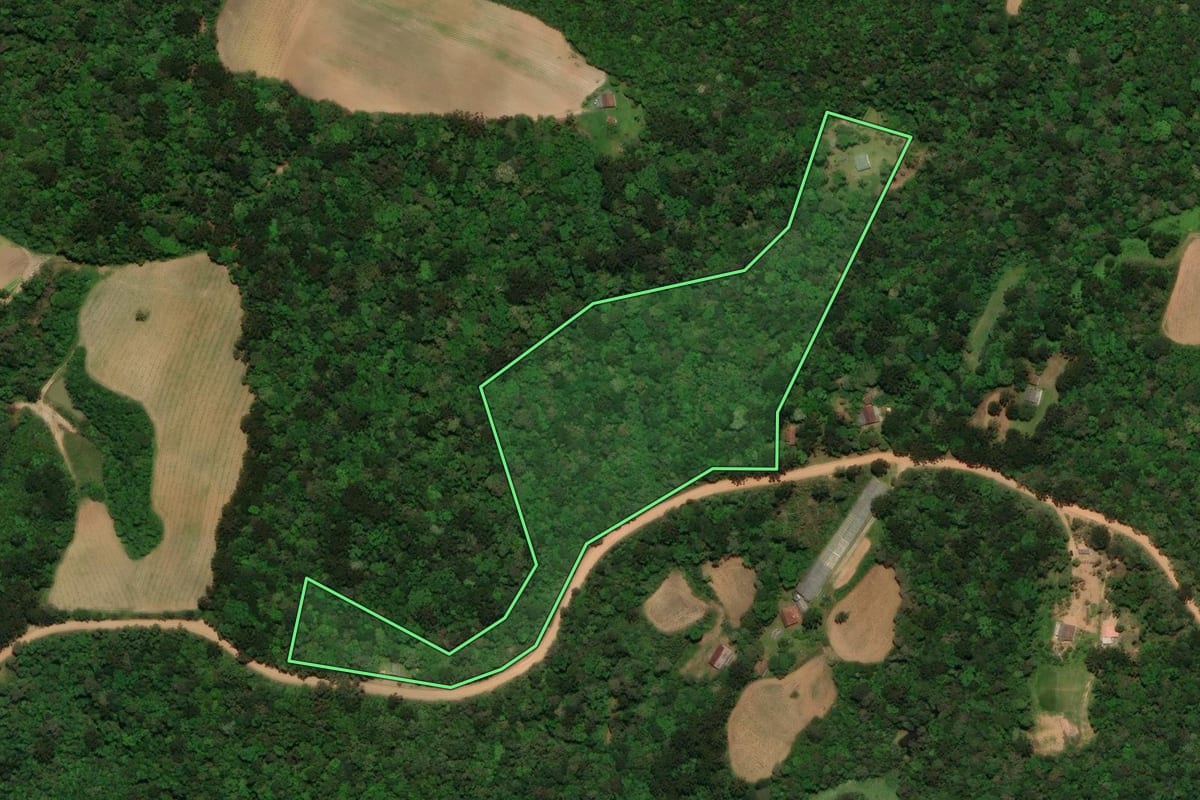 Imagem de satélite do imóvel rural em Tijucas do Sul (PR), com o contorno declarado no CAR desenhado por cima.