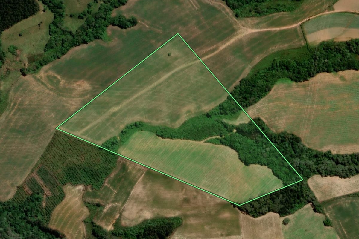 Imagem de satélite do imóvel rural em Tijucas do Sul (PR), com o contorno declarado no CAR desenhado por cima.