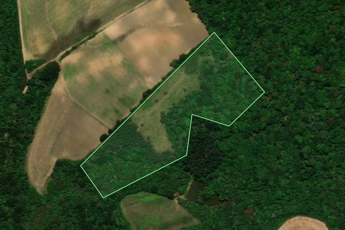 Imagem de satélite do imóvel rural em Tijucas do Sul (PR), com o contorno declarado no CAR desenhado por cima.