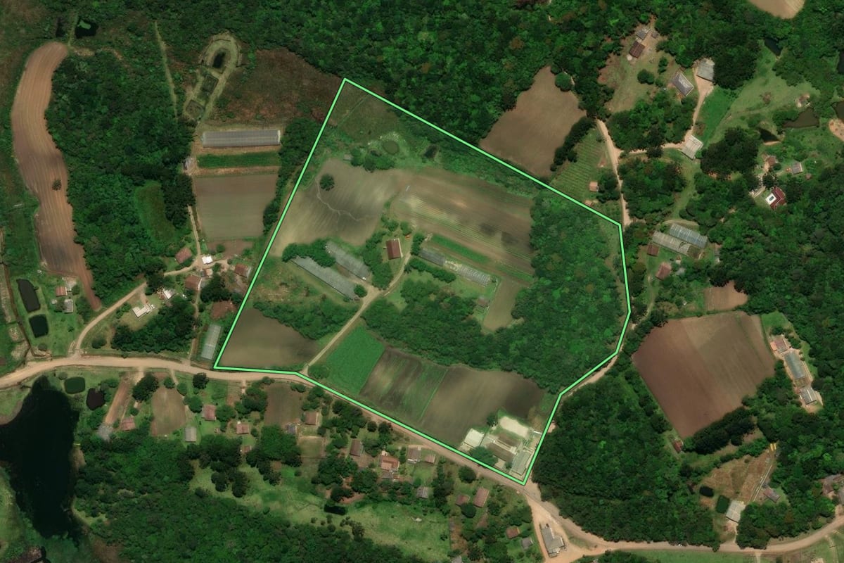 Imagem de satélite do imóvel rural em Tijucas do Sul (PR), com o contorno declarado no CAR desenhado por cima.