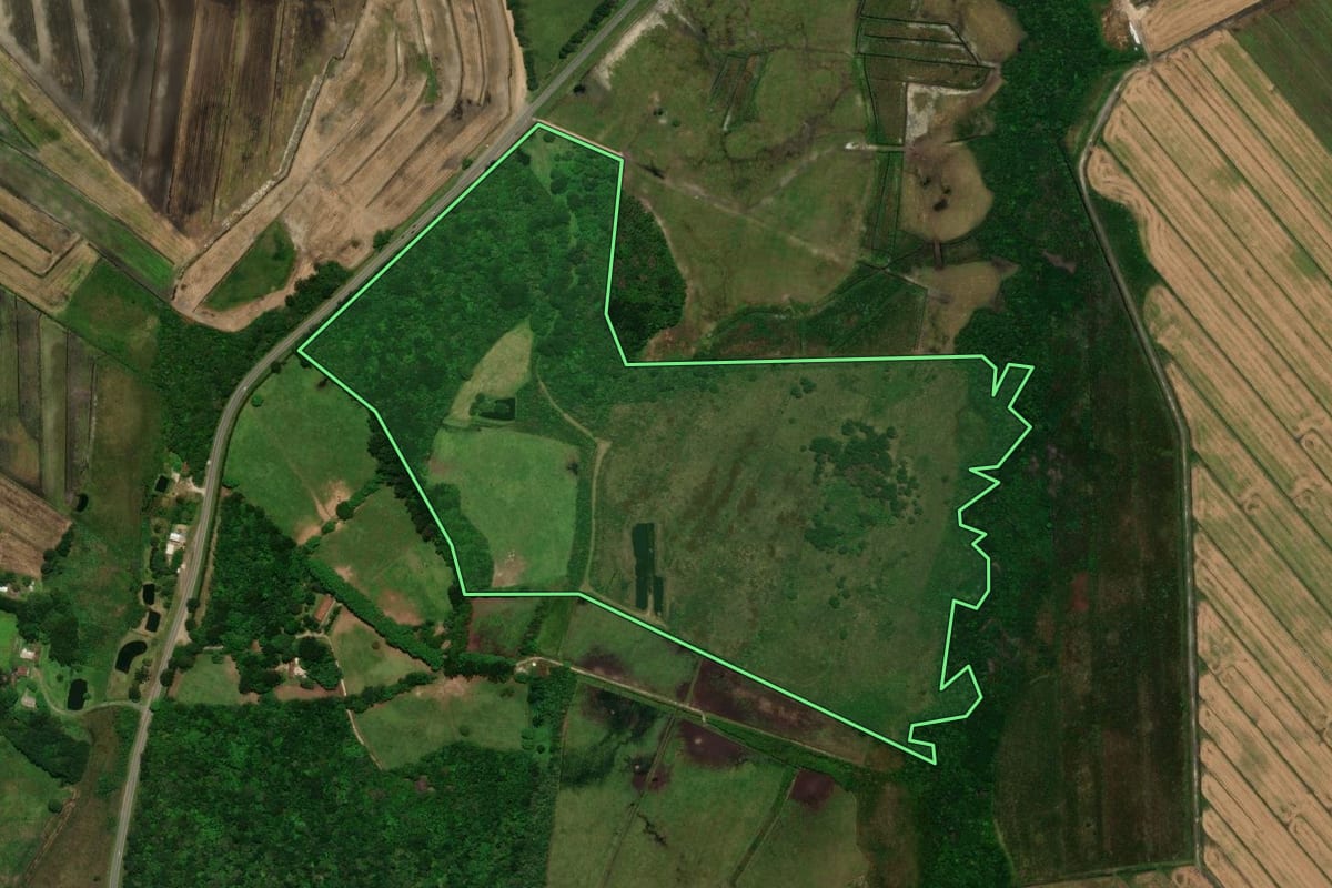 Imagem de satélite do imóvel rural em Tijucas do Sul (PR), com o contorno declarado no CAR desenhado por cima.