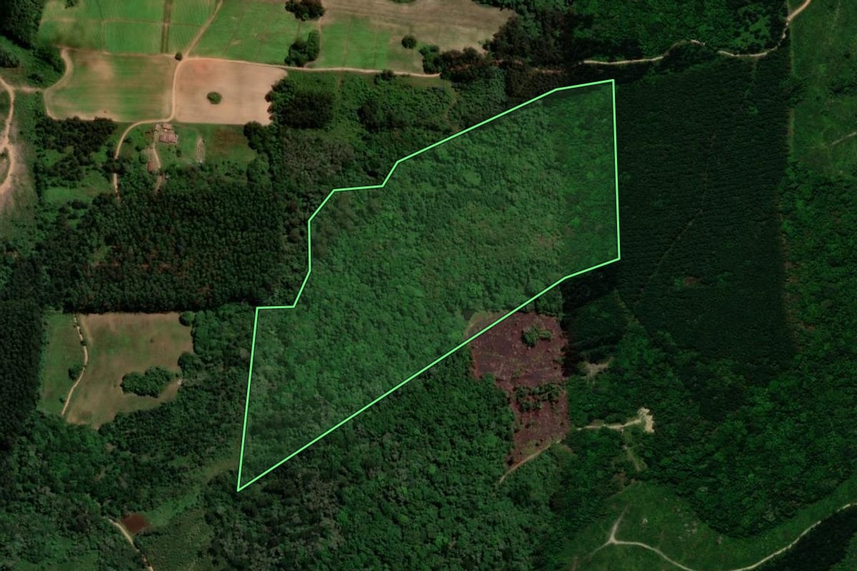 Imagem de satélite do imóvel rural em Tijucas do Sul (PR), com o contorno declarado no CAR desenhado por cima.
