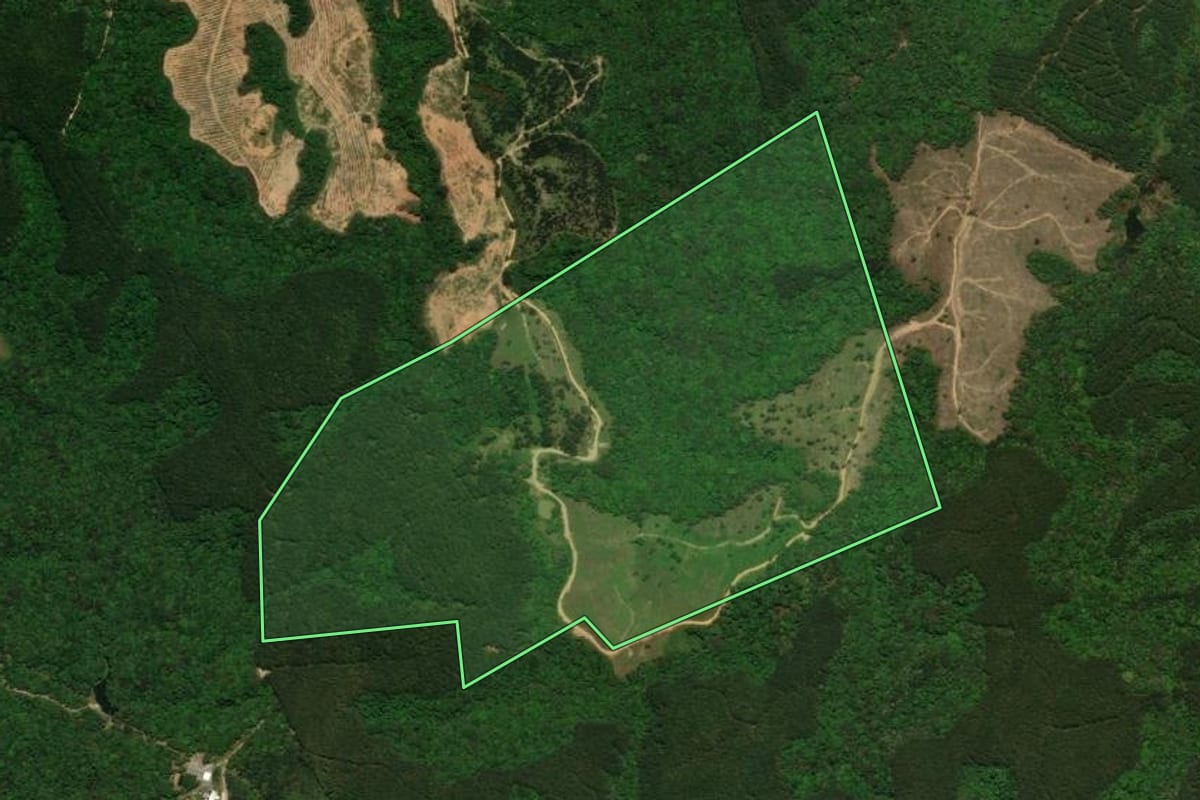 Imagem de satélite do imóvel rural em Tijucas do Sul (PR), com o contorno declarado no CAR desenhado por cima.