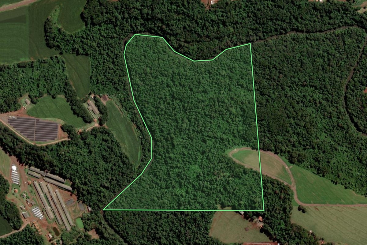 Imagem de satélite do imóvel rural em Toledo (PR), com o contorno declarado no CAR desenhado por cima.