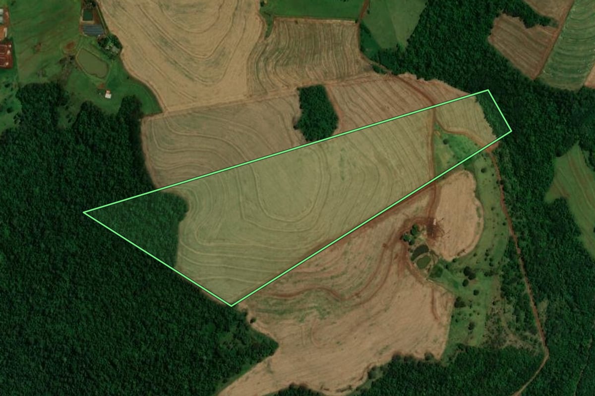 Imagem de satélite do imóvel rural em Toledo (PR), com o contorno declarado no CAR desenhado por cima.