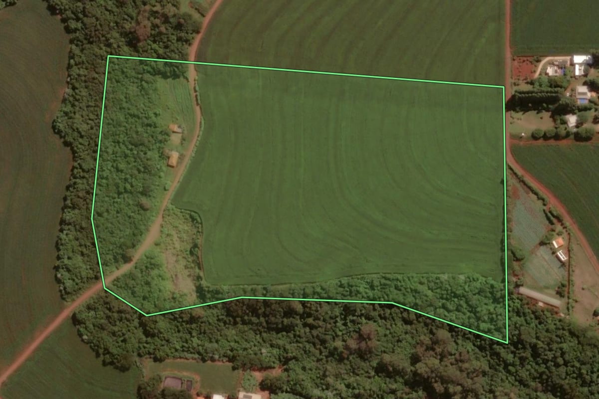 Imagem de satélite do imóvel rural em Toledo (PR), com o contorno declarado no CAR desenhado por cima.