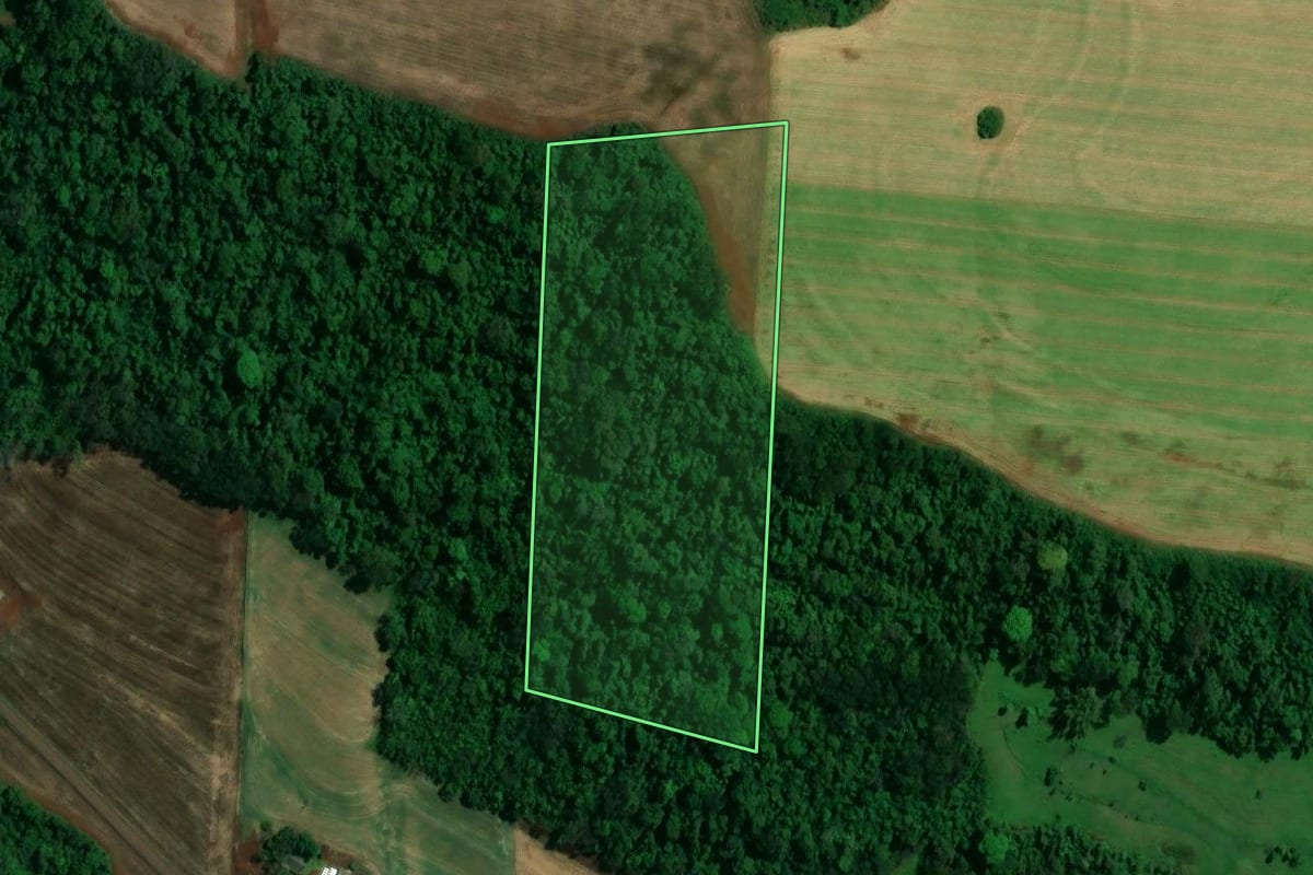Imagem de satélite do imóvel rural em Toledo (PR), com o contorno declarado no CAR desenhado por cima.