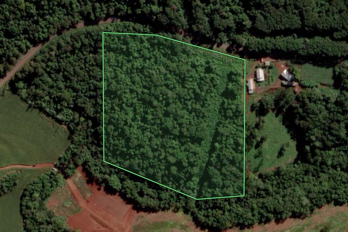 Imagem de satélite do imóvel rural em Toledo (PR), com o contorno declarado no CAR desenhado por cima.