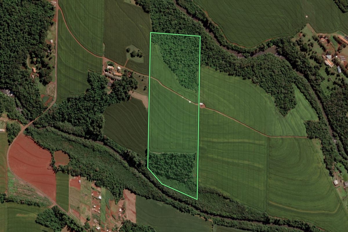 Imagem de satélite do imóvel rural em Toledo (PR), com o contorno declarado no CAR desenhado por cima.