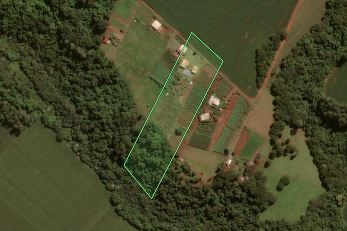 Imagem de satélite do imóvel rural em Toledo (PR), com o contorno declarado no CAR desenhado por cima.