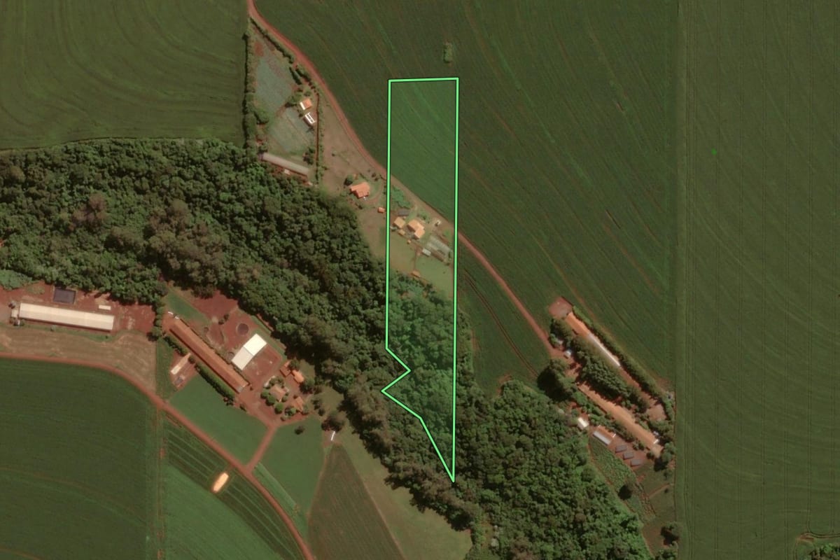 Imagem de satélite do imóvel rural em Toledo (PR), com o contorno declarado no CAR desenhado por cima.