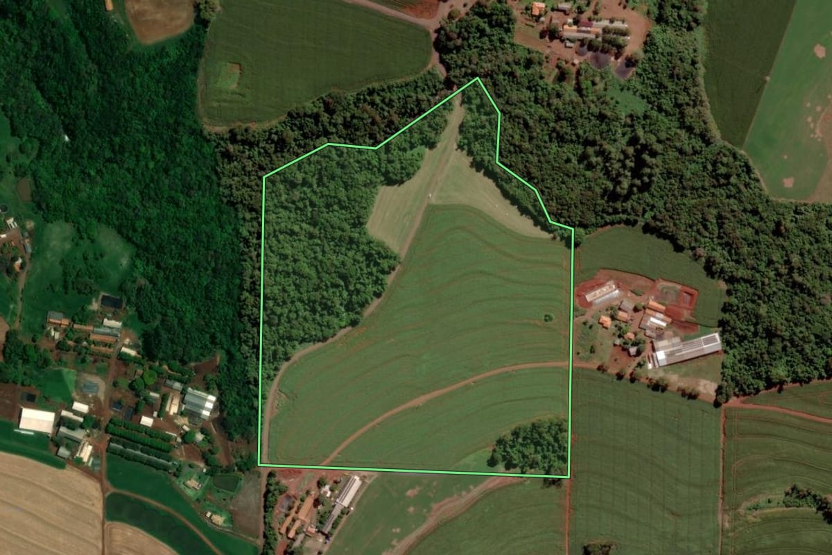 Imagem de satélite do imóvel rural em Toledo (PR), com o contorno declarado no CAR desenhado por cima.