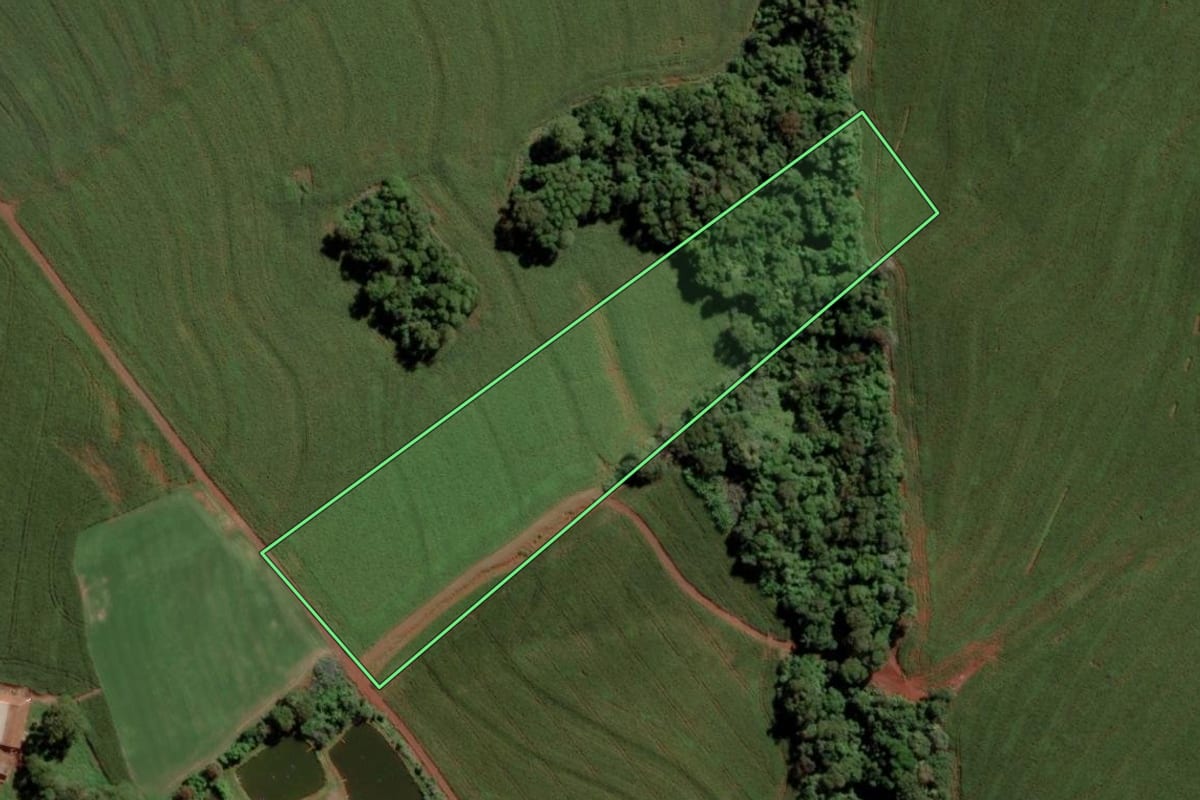 Imagem de satélite do imóvel rural em Toledo (PR), com o contorno declarado no CAR desenhado por cima.