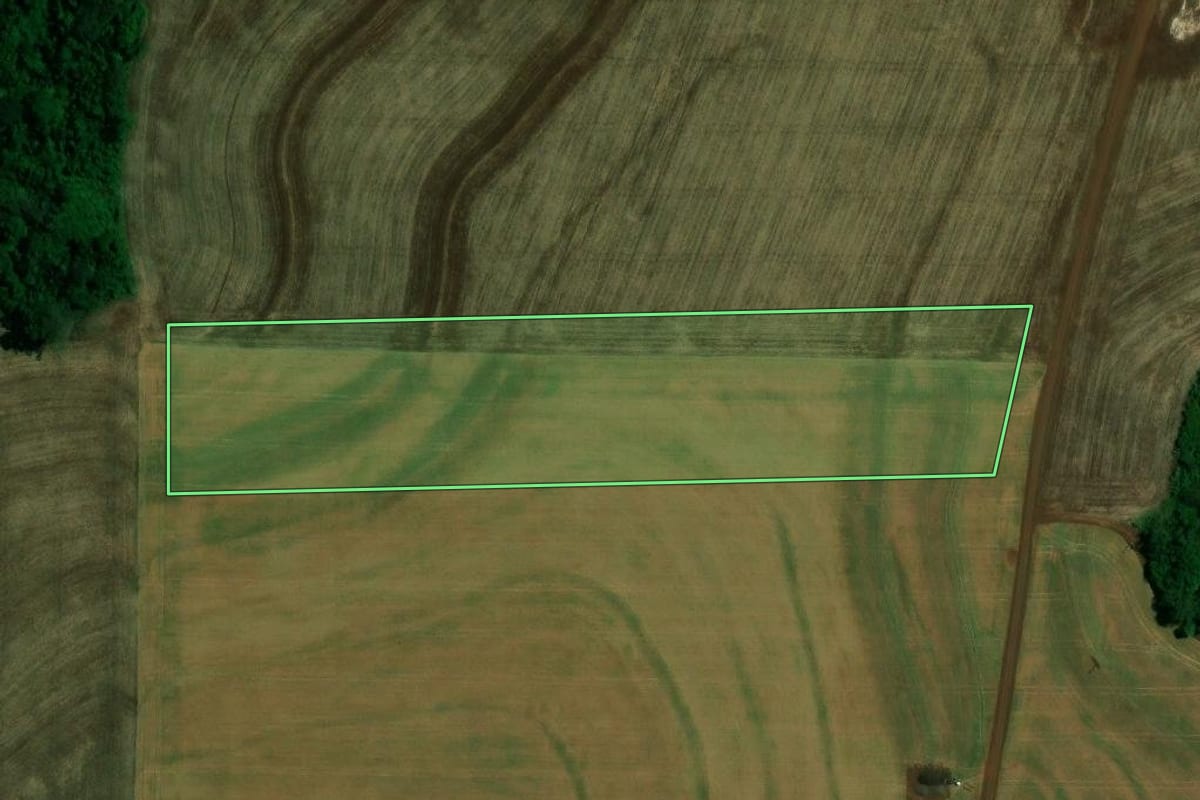 Imagem de satélite do imóvel rural em Toledo (PR), com o contorno declarado no CAR desenhado por cima.