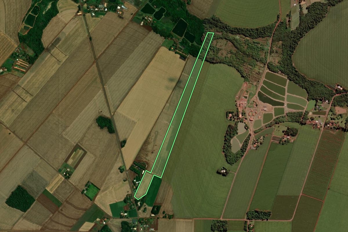 Imagem de satélite do imóvel rural em Toledo (PR), com o contorno declarado no CAR desenhado por cima.