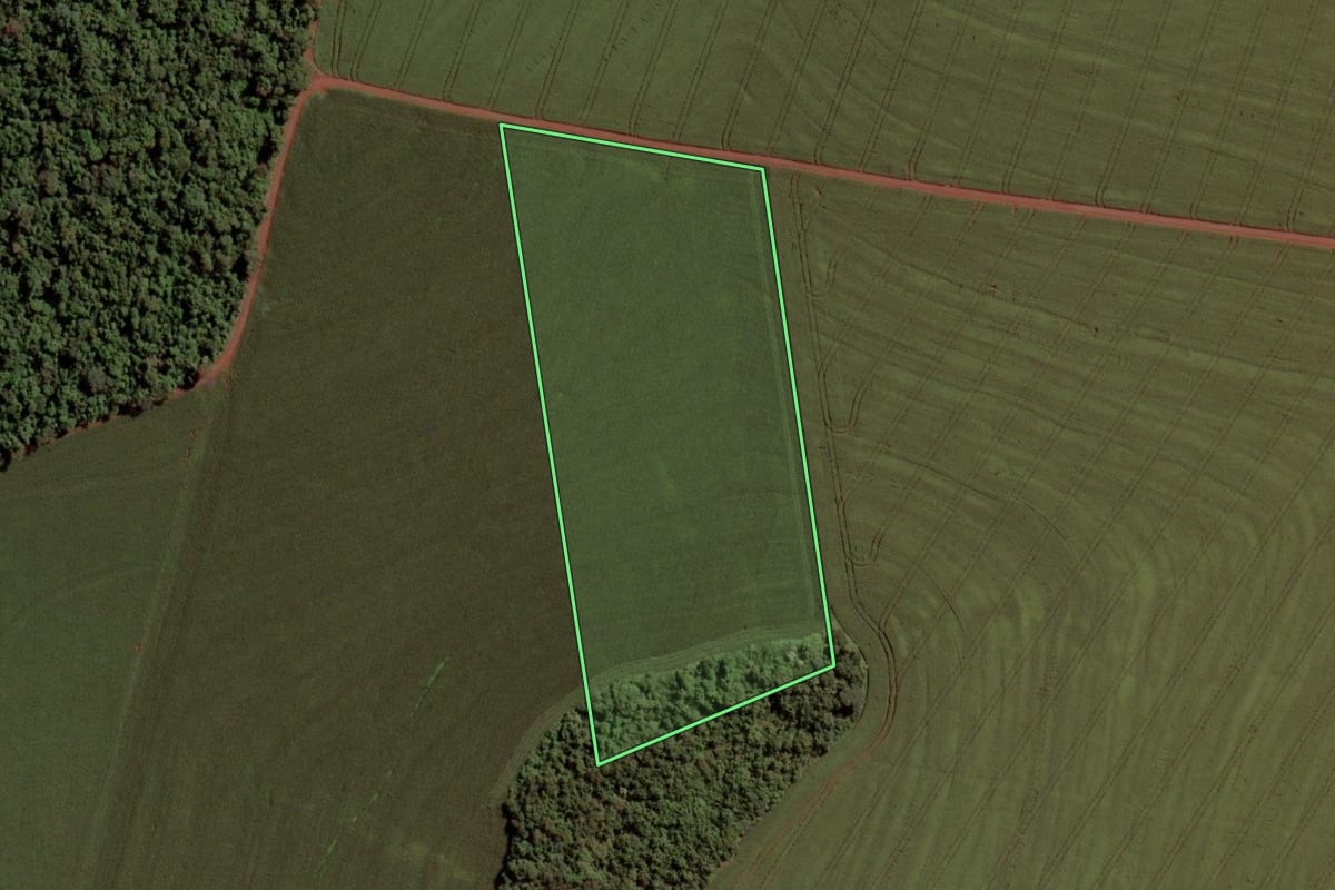 Imagem de satélite do imóvel rural em Toledo (PR), com o contorno declarado no CAR desenhado por cima.