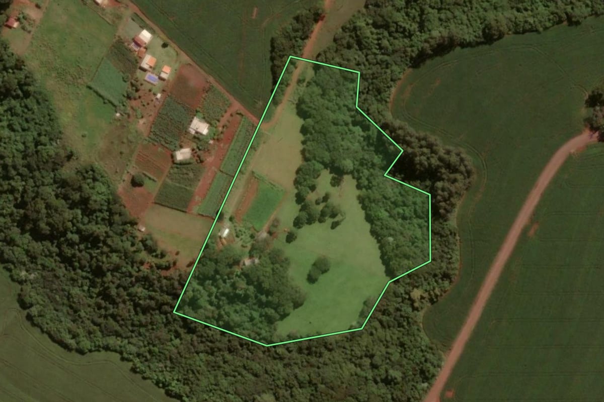 Imagem de satélite do imóvel rural em Toledo (PR), com o contorno declarado no CAR desenhado por cima.