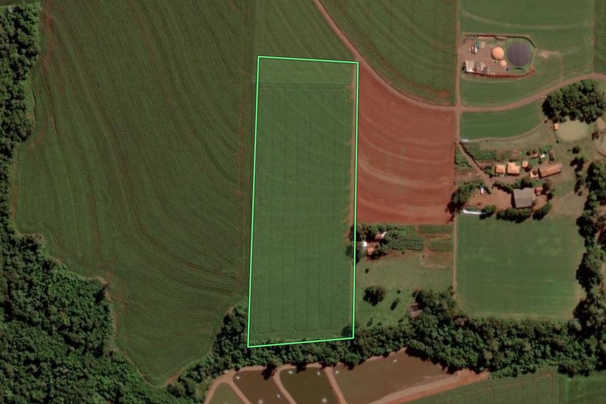 Imagem de satélite do imóvel rural em Toledo (PR), com o contorno declarado no CAR desenhado por cima.