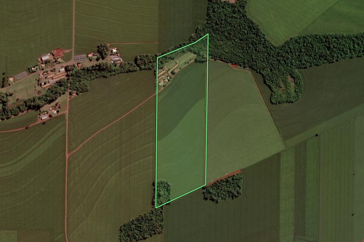 Imagem de satélite do imóvel rural em Toledo (PR), com o contorno declarado no CAR desenhado por cima.