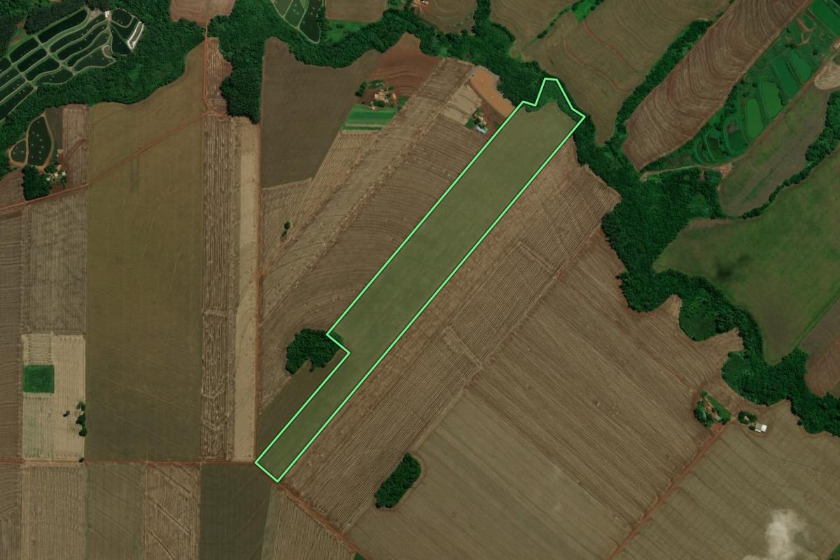 Imagem de satélite do imóvel rural em Toledo (PR), com o contorno declarado no CAR desenhado por cima.