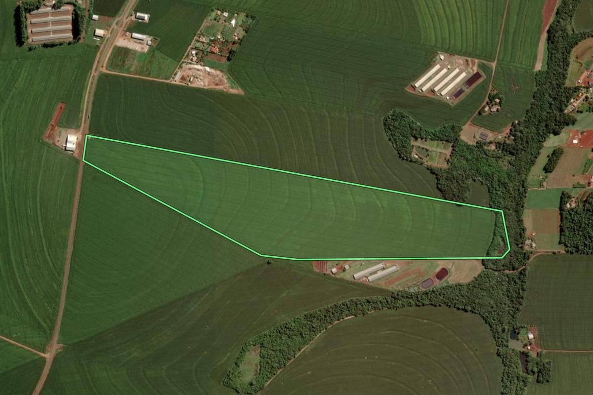 Imagem de satélite do imóvel rural em Toledo (PR), com o contorno declarado no CAR desenhado por cima.