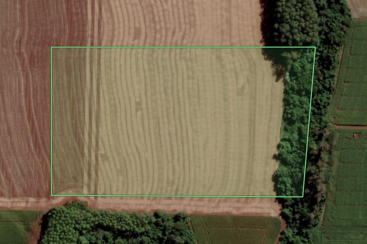 Imagem de satélite do imóvel rural em Toledo (PR), com o contorno declarado no CAR desenhado por cima.