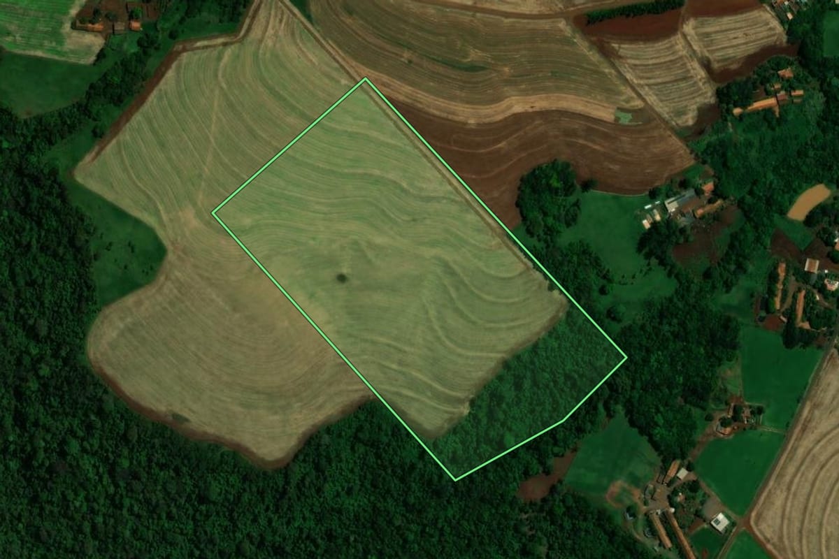 Imagem de satélite do imóvel rural em Toledo (PR), com o contorno declarado no CAR desenhado por cima.