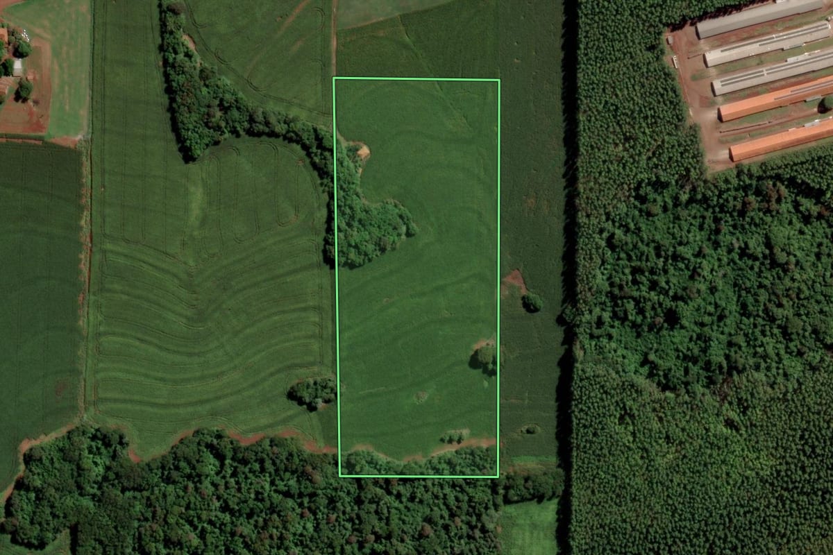 Imagem de satélite do imóvel rural em Toledo (PR), com o contorno declarado no CAR desenhado por cima.