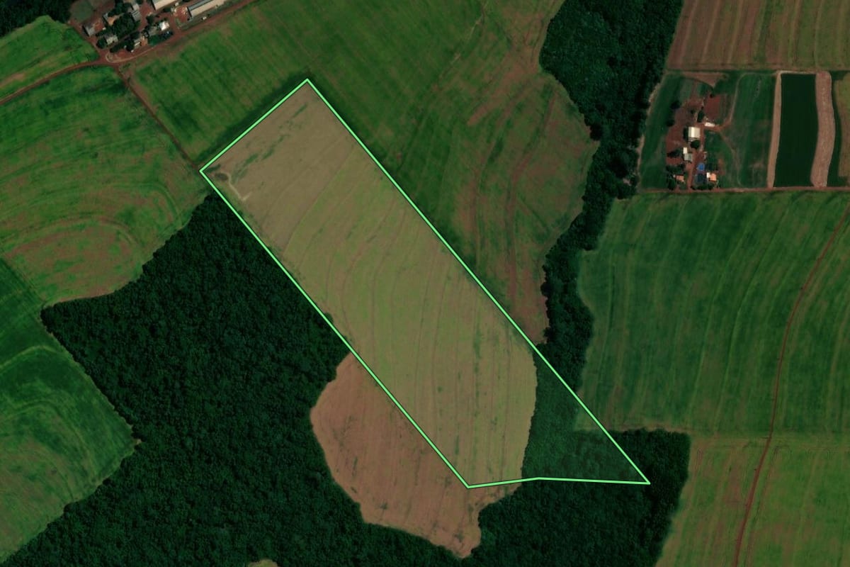 Imagem de satélite do imóvel rural em Toledo (PR), com o contorno declarado no CAR desenhado por cima.