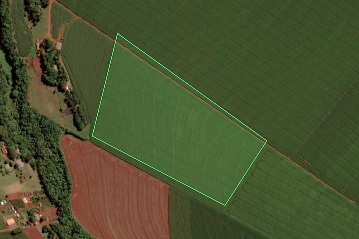 Imagem de satélite do imóvel rural em Toledo (PR), com o contorno declarado no CAR desenhado por cima.