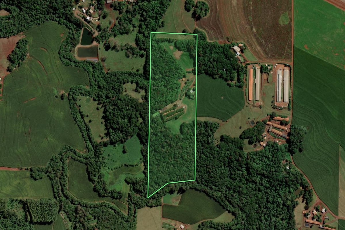 Imagem de satélite do imóvel rural em Toledo (PR), com o contorno declarado no CAR desenhado por cima.