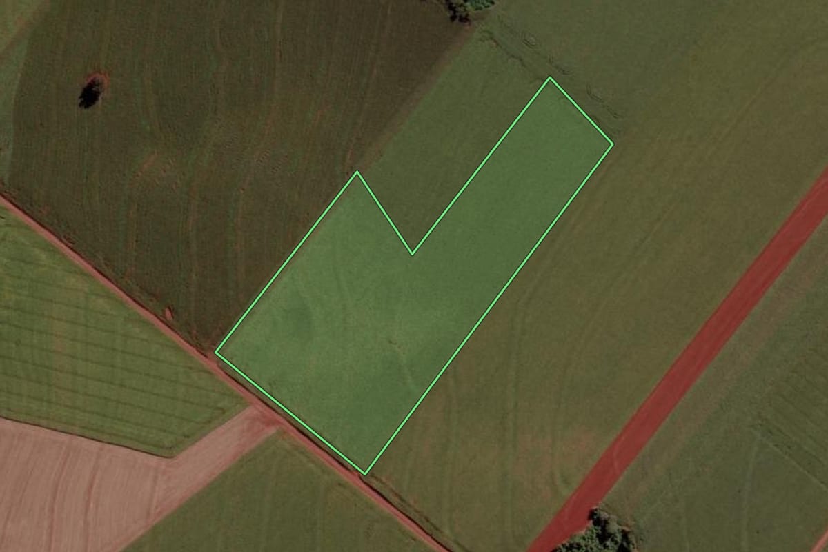 Imagem de satélite do imóvel rural em Toledo (PR), com o contorno declarado no CAR desenhado por cima.