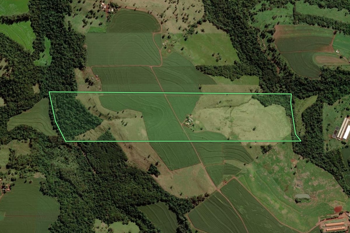 Imagem de satélite do imóvel rural em Toledo (PR), com o contorno declarado no CAR desenhado por cima.