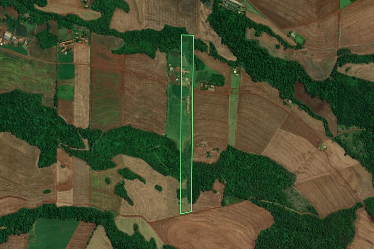 Imagem de satélite do imóvel rural em Toledo (PR), com o contorno declarado no CAR desenhado por cima.