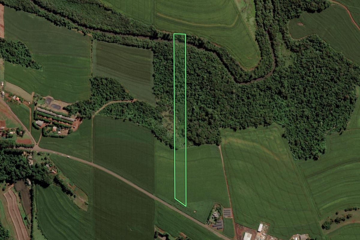 Imagem de satélite do imóvel rural em Toledo (PR), com o contorno declarado no CAR desenhado por cima.