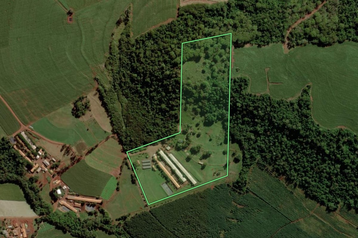 Imagem de satélite do imóvel rural em Toledo (PR), com o contorno declarado no CAR desenhado por cima.