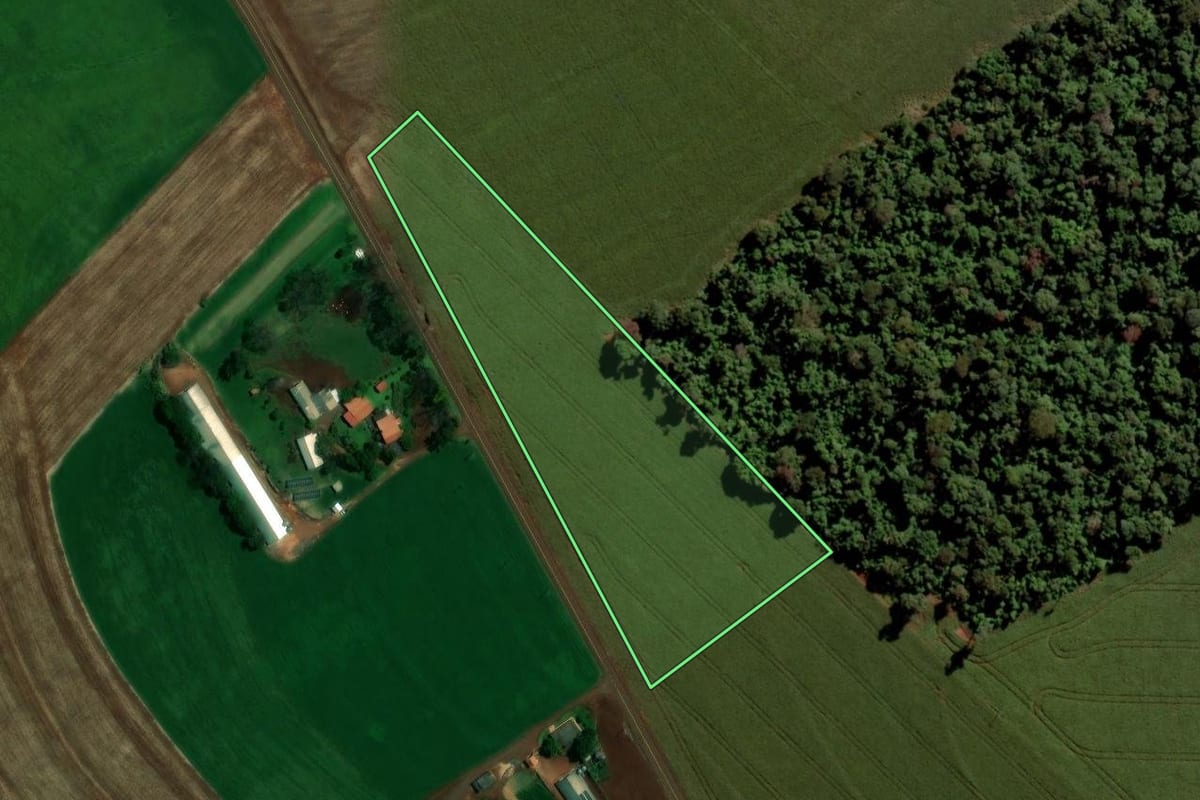 Imagem de satélite do imóvel rural em Toledo (PR), com o contorno declarado no CAR desenhado por cima.