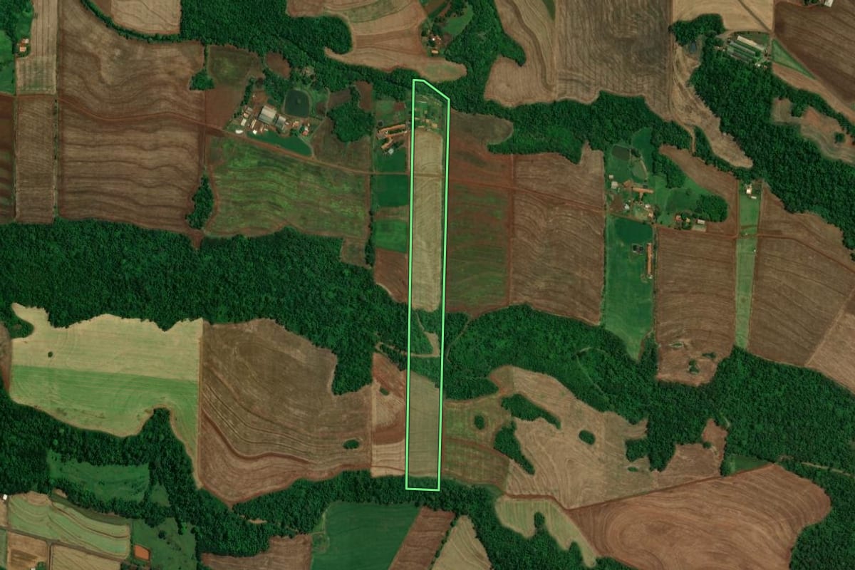 Imagem de satélite do imóvel rural em Toledo (PR), com o contorno declarado no CAR desenhado por cima.