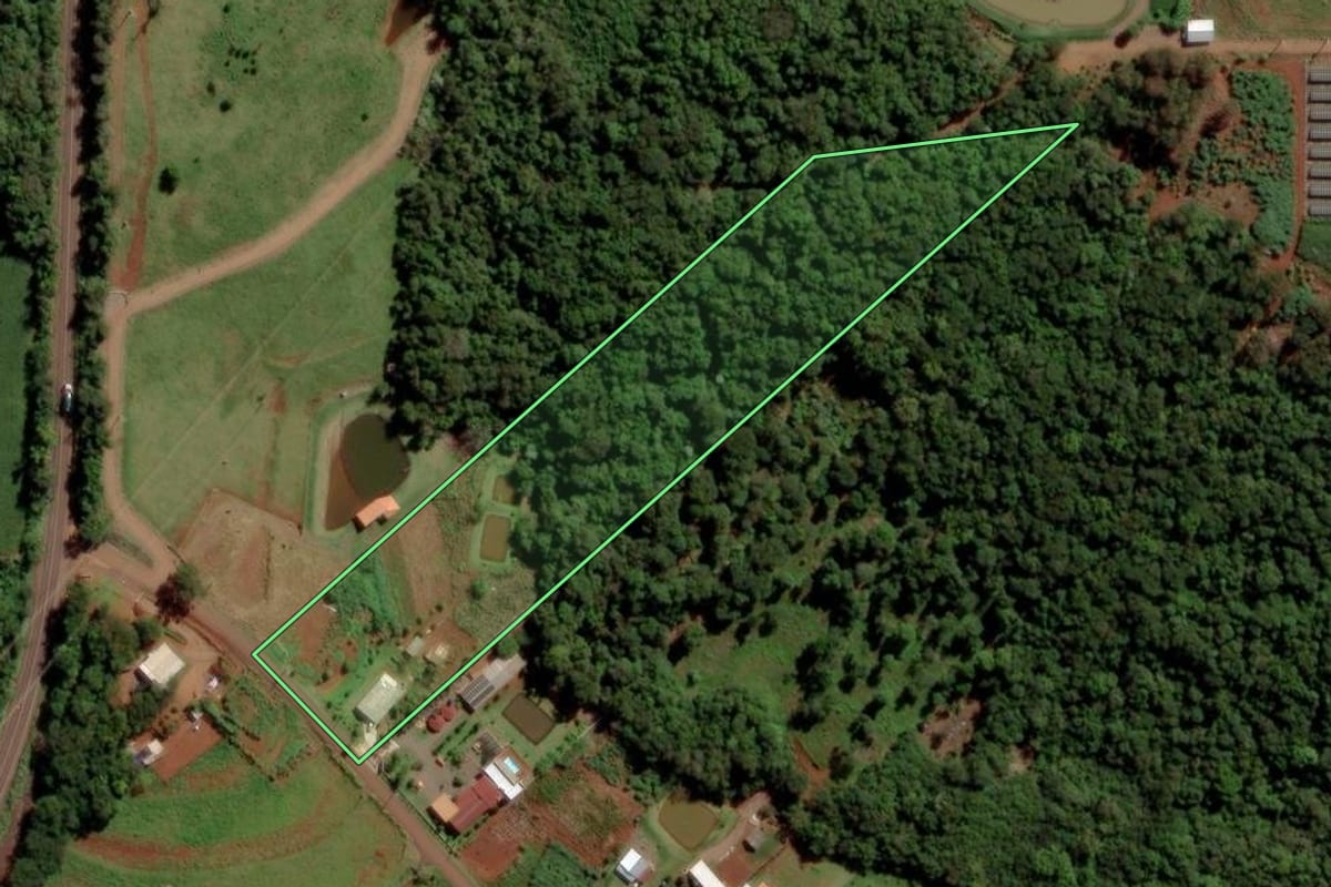Imagem de satélite do imóvel rural em Toledo (PR), com o contorno declarado no CAR desenhado por cima.